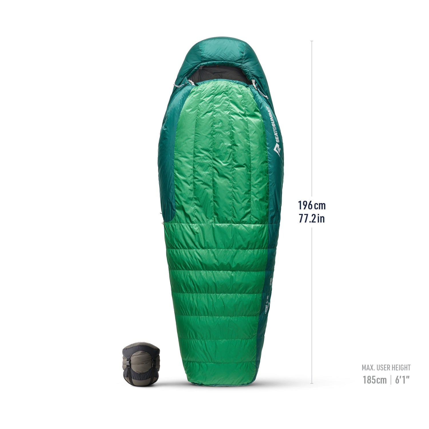 30°F / Regular || Ascent Down Sleeping Bag 
